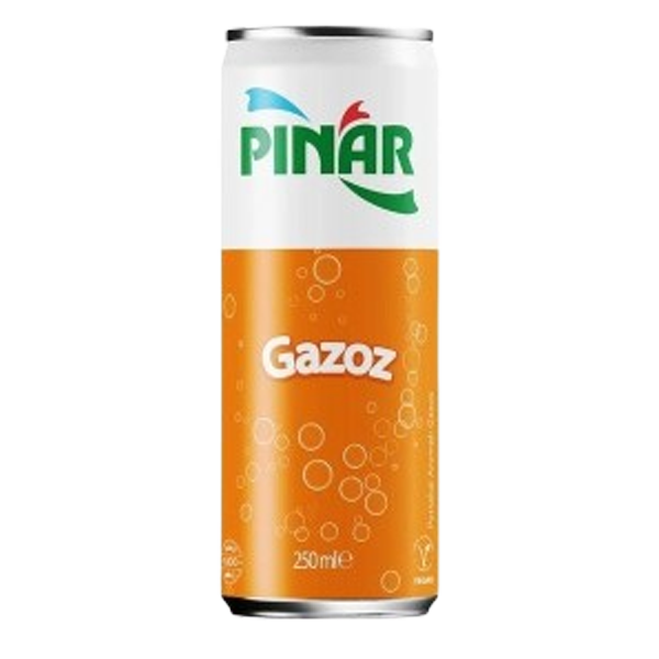 Pınar Gazoz Portakal